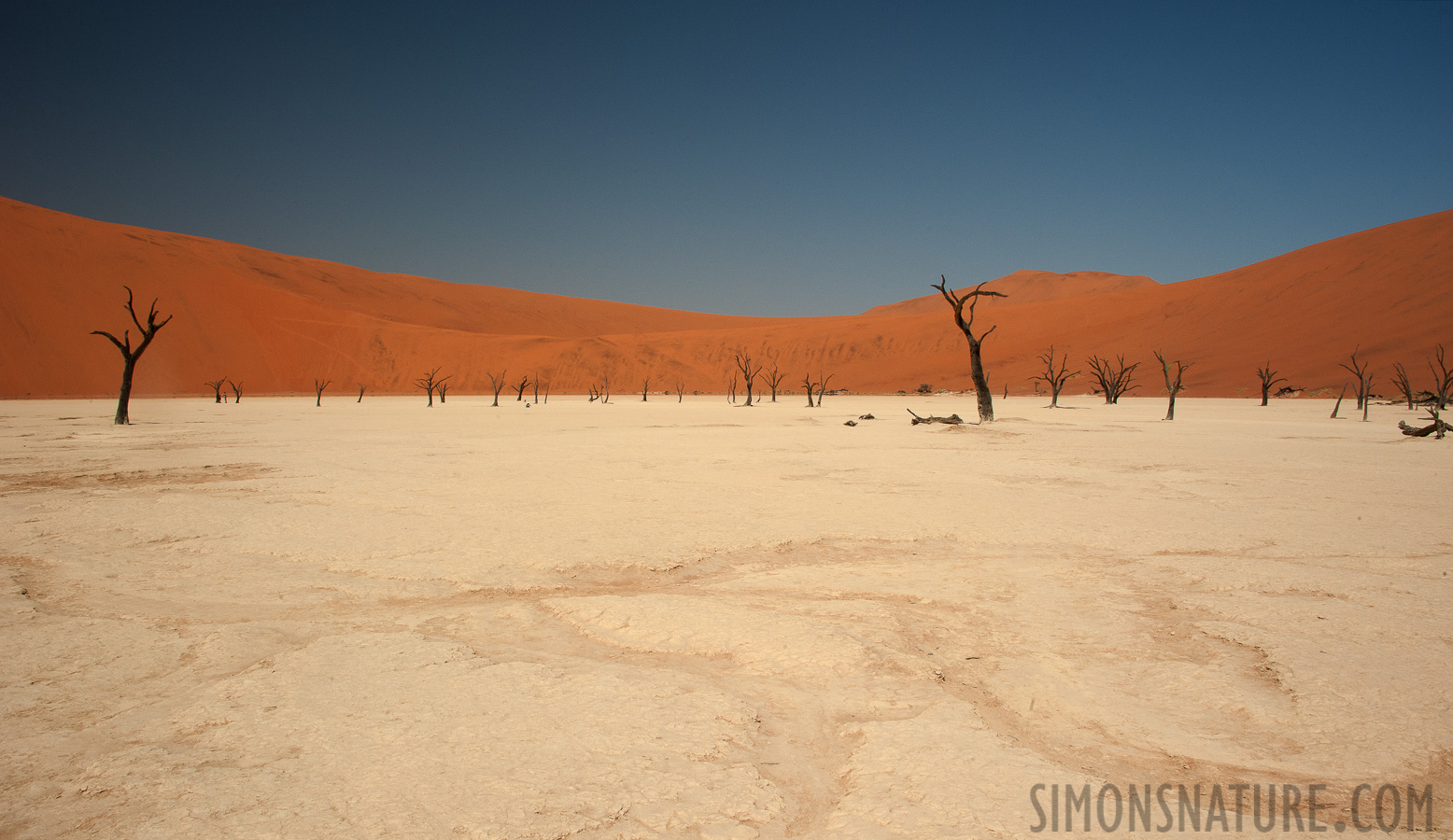 Namib-Naukluft National Park [28 mm, 1/100 sec at f / 22, ISO 400]